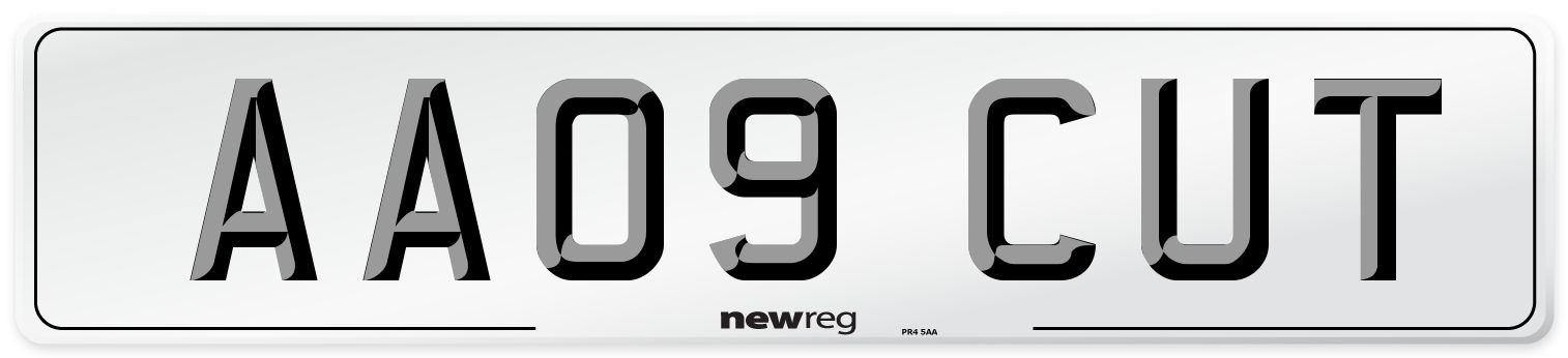 AA09 CUT Number Plate from New Reg